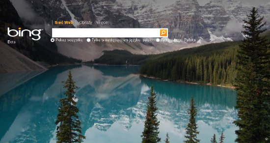 bing1